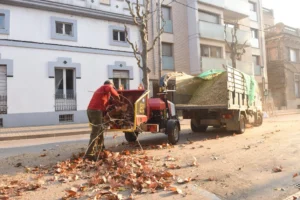 Professional Junk Removal Near You